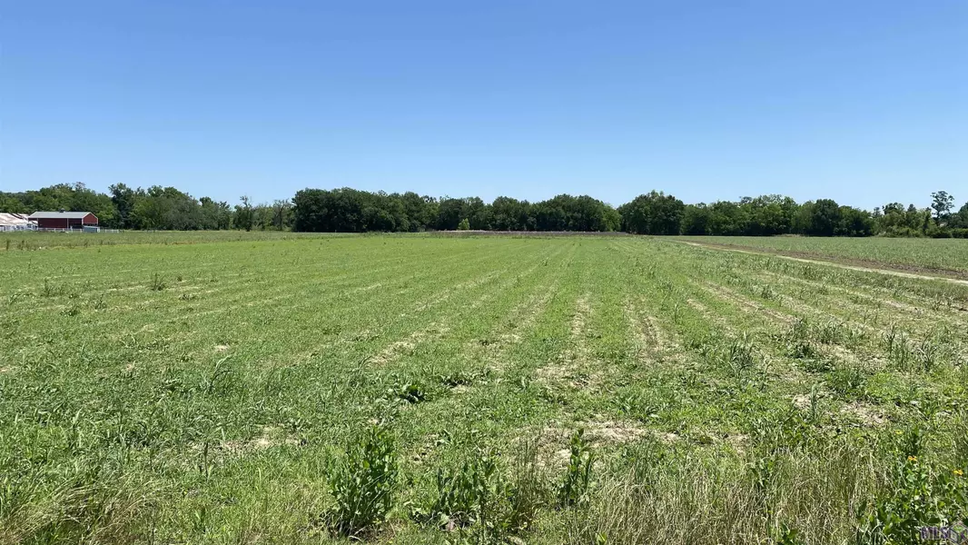 Lot SL-1A & B La Hwy 642 ##2, Paulina, LA 70763