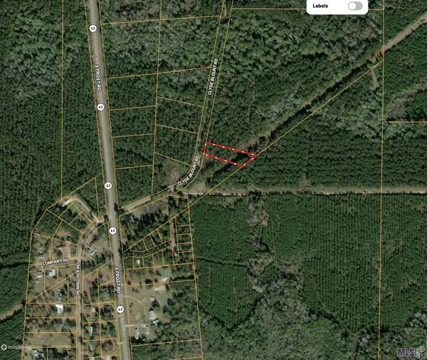 TBD Clyde Blount Rd, Livingston, LA 70754