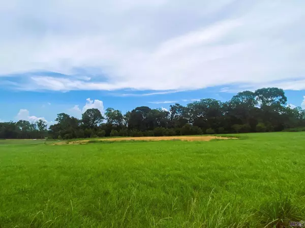 Ethel, LA 70730,5289 Line Rd