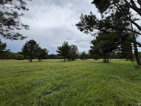 St Francisville, LA 70775,10100 Deer Haven Ln