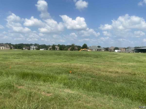 lot 24 Buddy Gore Rd, Gonzales, LA 70737