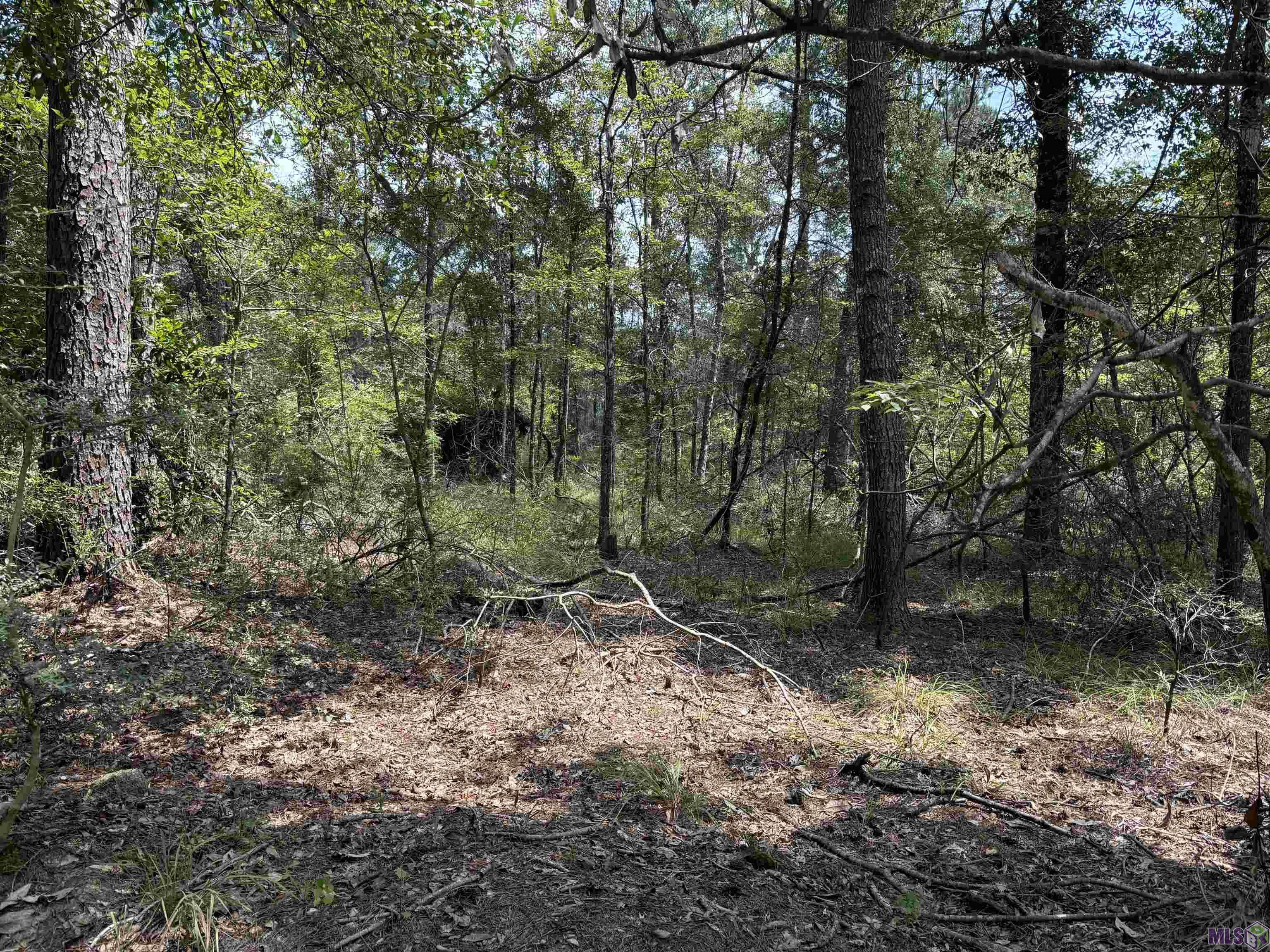 Montpelier, LA 70422,Tract B Westmoreland Ln