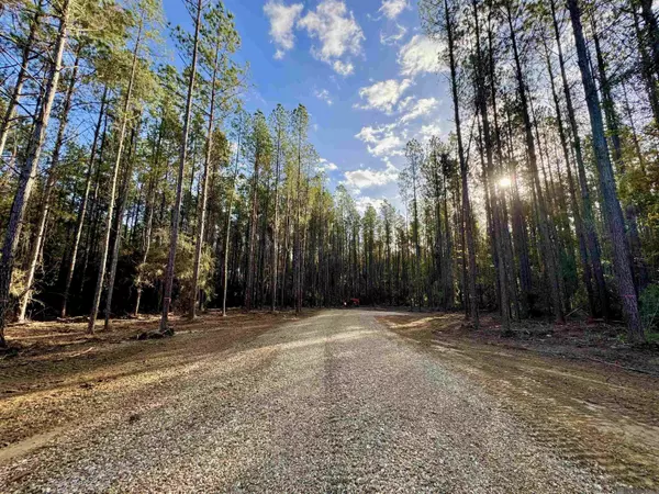 Pine Grove, LA 70453,Lot 17 & 18 La Hwy 449