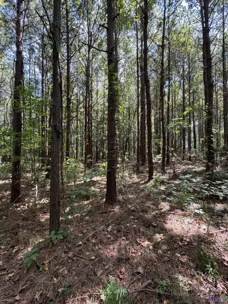 7826 Pipes Ln, Ethel, LA 70730