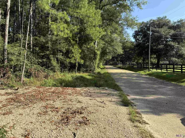 81377 S Morgan Rd, Folsom, LA 70437