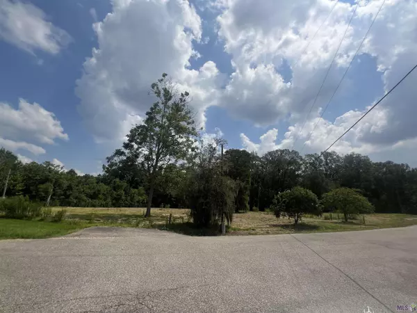 St Amant, LA 70774,12246 Peter Bourgeois Rd