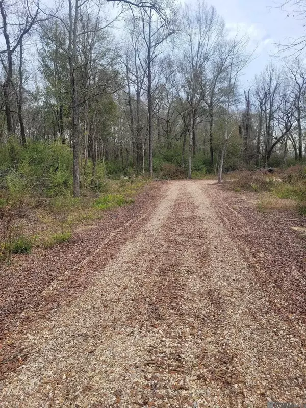 Central, LA 70791,10801 Hidden Cypress Ct