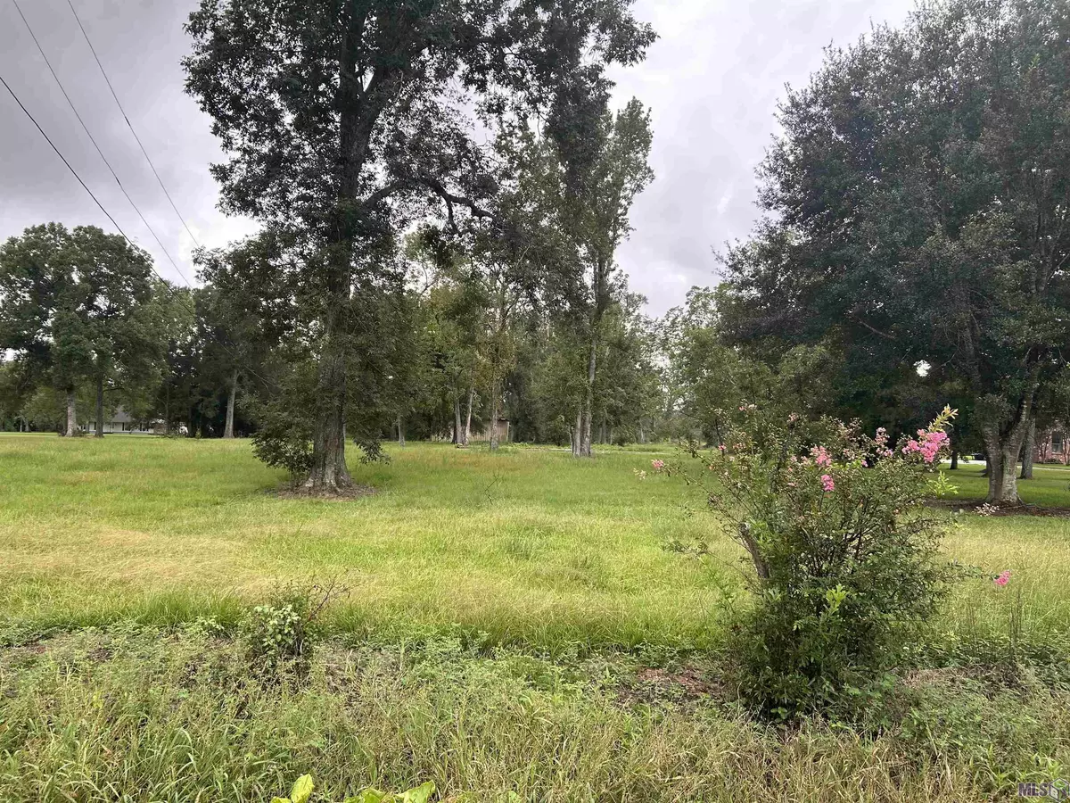 Gonzales, LA 70737,42365 Lot D Clouatre Rd