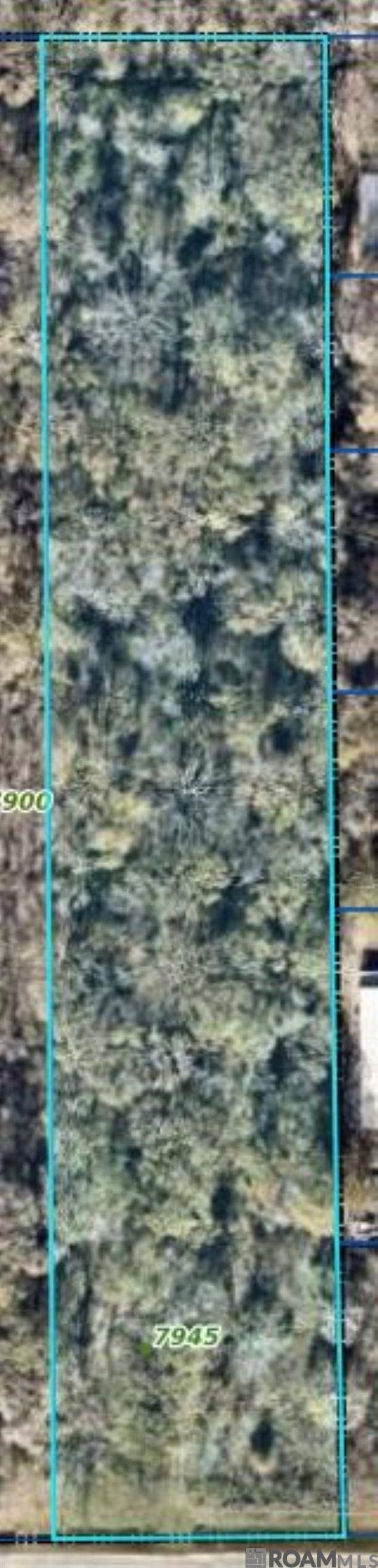 Zachary, LA 70791,7945 Main St N