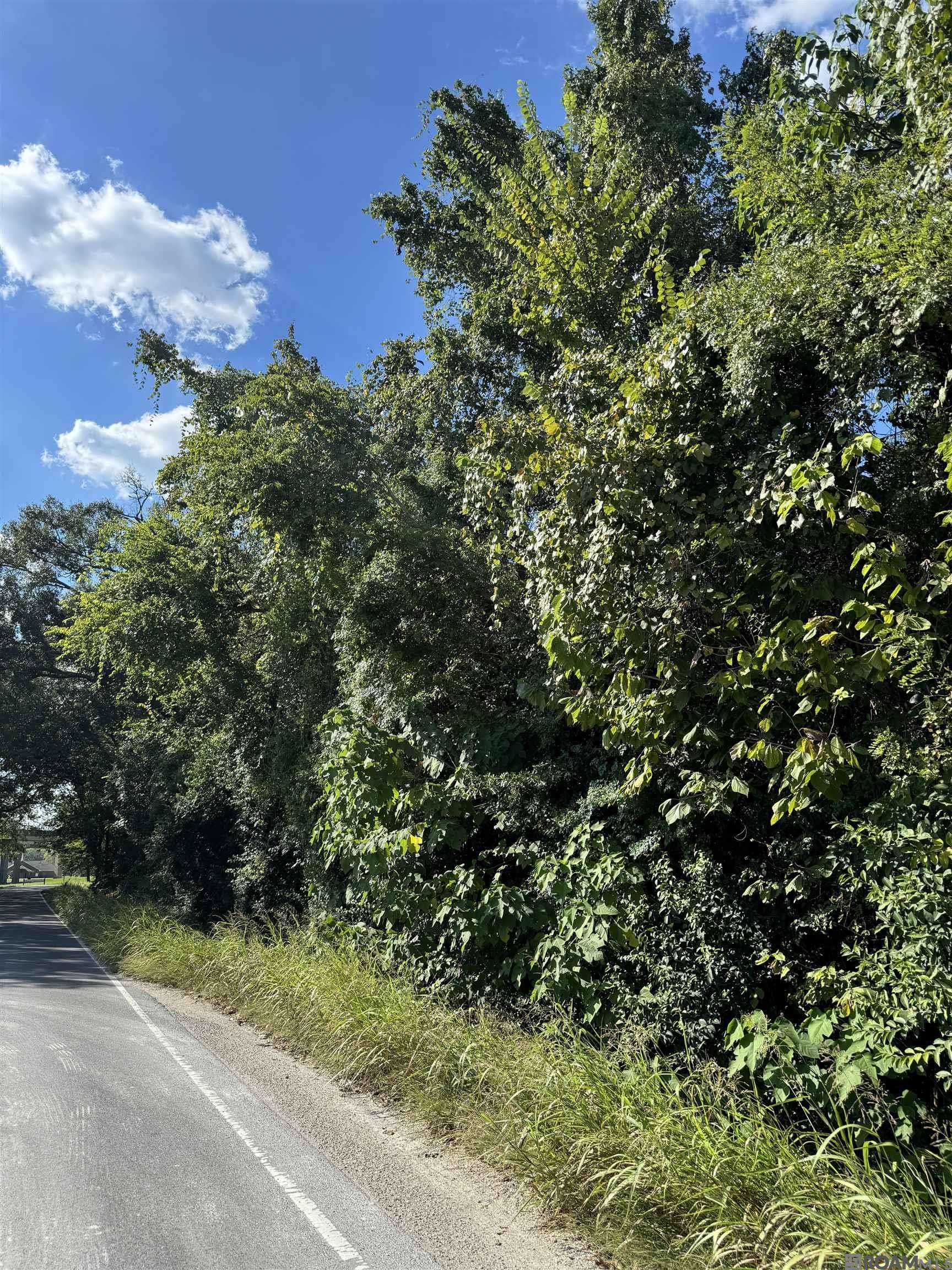 LOT 23 Rosenwald Rd, Baton Rouge, LA 70807