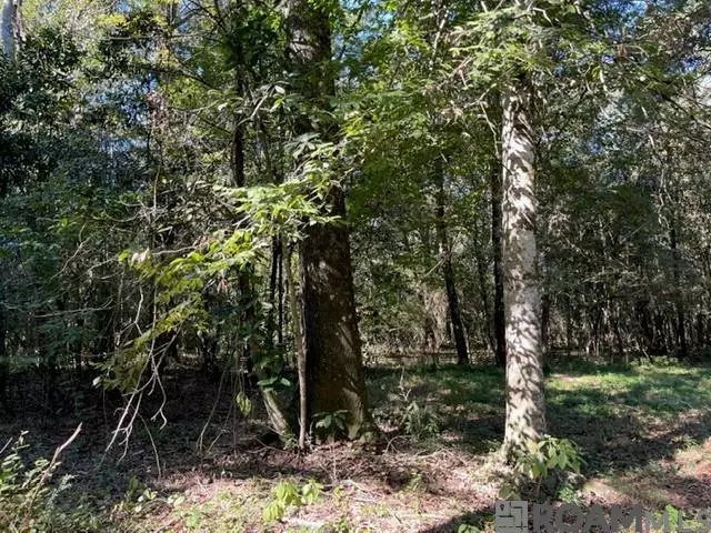 01 Lillian Ln, Ethel, LA 70730