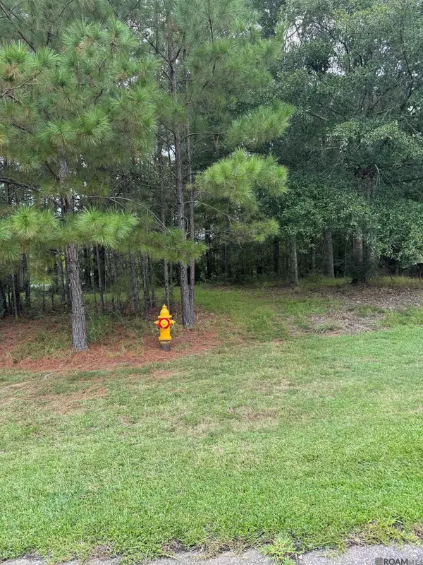 St Francisville, LA 70775,5905 Afton Villa Way