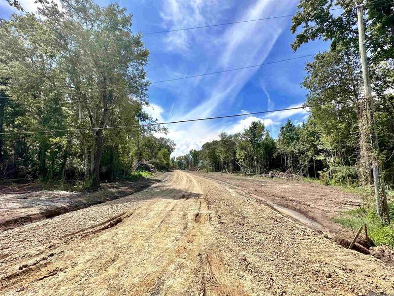 LOT A-1-B Deer Cove Road, Gonzales, LA 70737