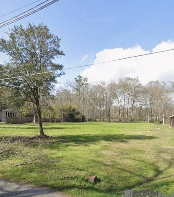 13700 Hartman Ln, Walker, LA 70785