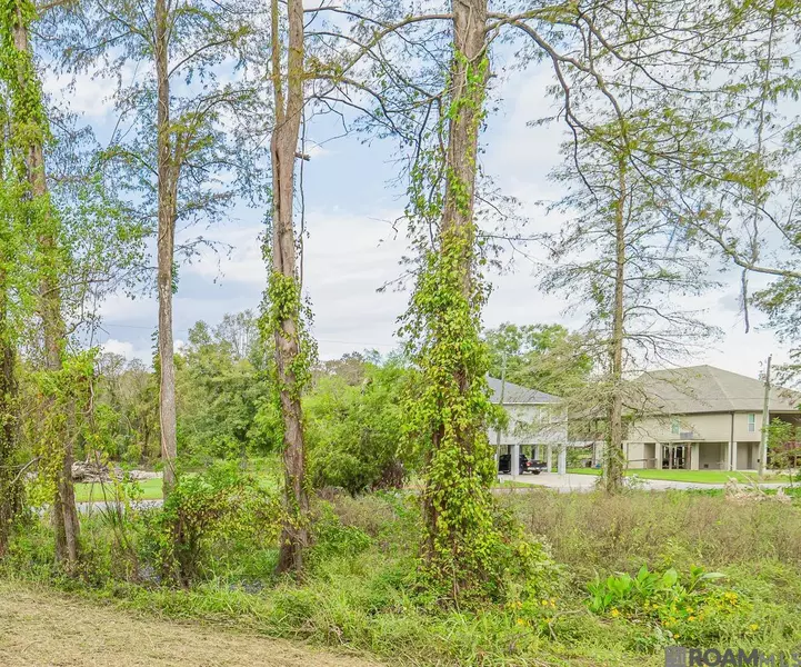 47313 Amite River Rd, St Amant, LA 70774