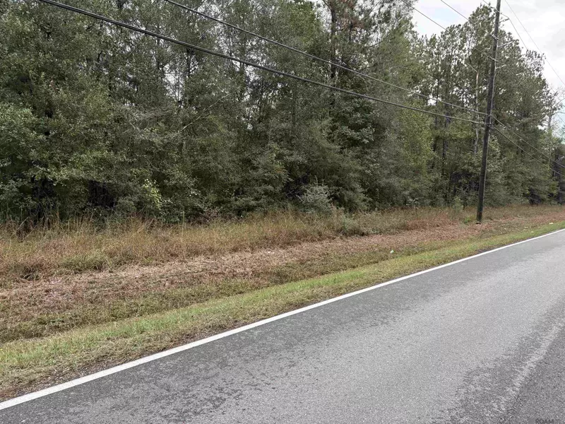 Tract C-1 Rufus Bankston Rd, Hammond, LA 70401