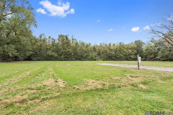 Zachary, LA 70791,Lot 1B E Plains Port Hudson Rd