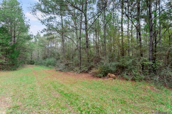 13289 Weaver Rd, St Francisville, LA 70775