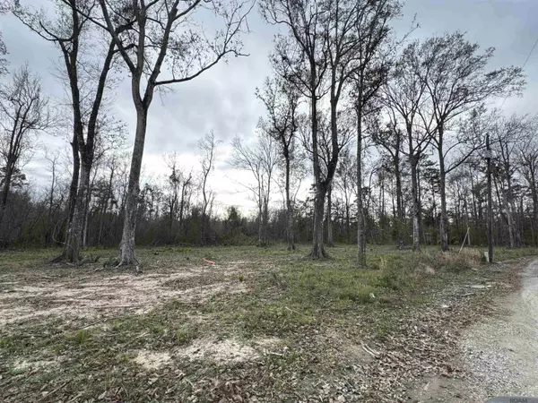 Springfield, LA 70462,29428 Linda Hvn