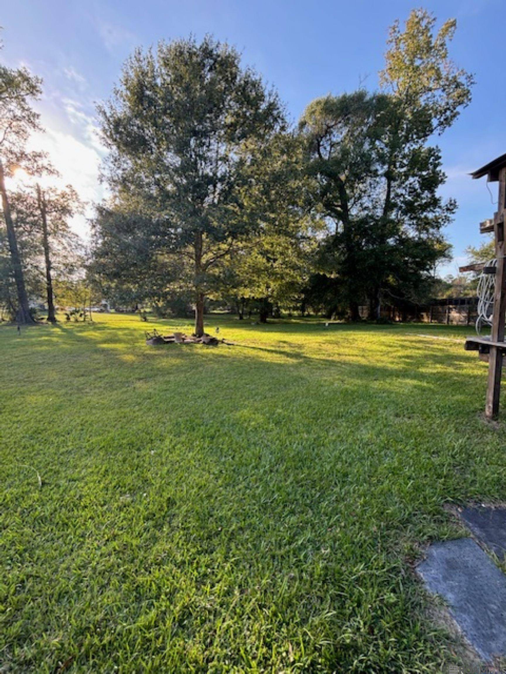 Denham Springs, LA 70726,24257 Brian St