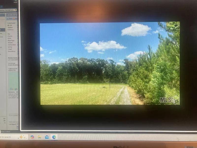 Lot # 17 Feliciana, Clinton, LA 70722