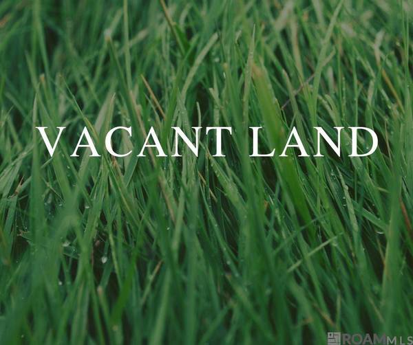 Lot 30 River Highlands, St Amant, LA 70774