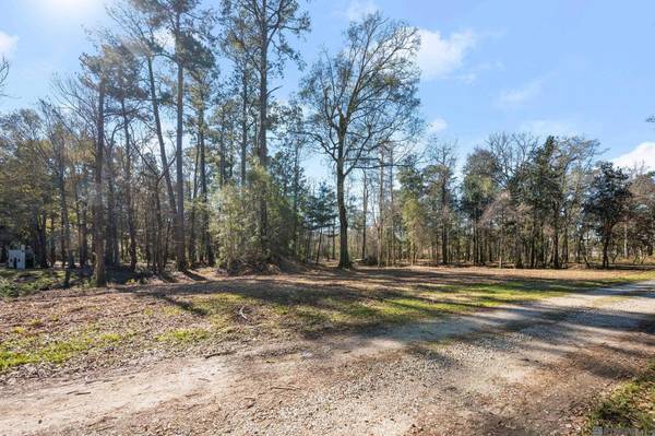 12234 Whitetail Ln, Walker, LA 70785