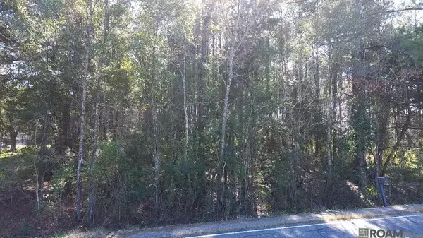 Zachary, LA 70791,Lot 1-B Milldale Rd