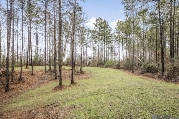 000 Rogers Rd, St Francisville, LA 70775