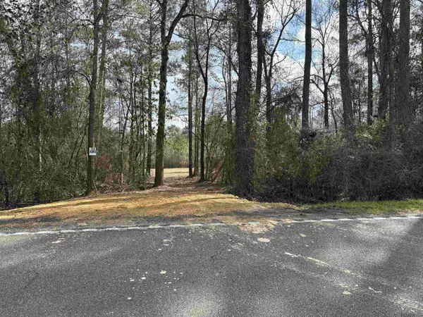 Tract 1-C La Hwy 1058, Roseland, LA 70456