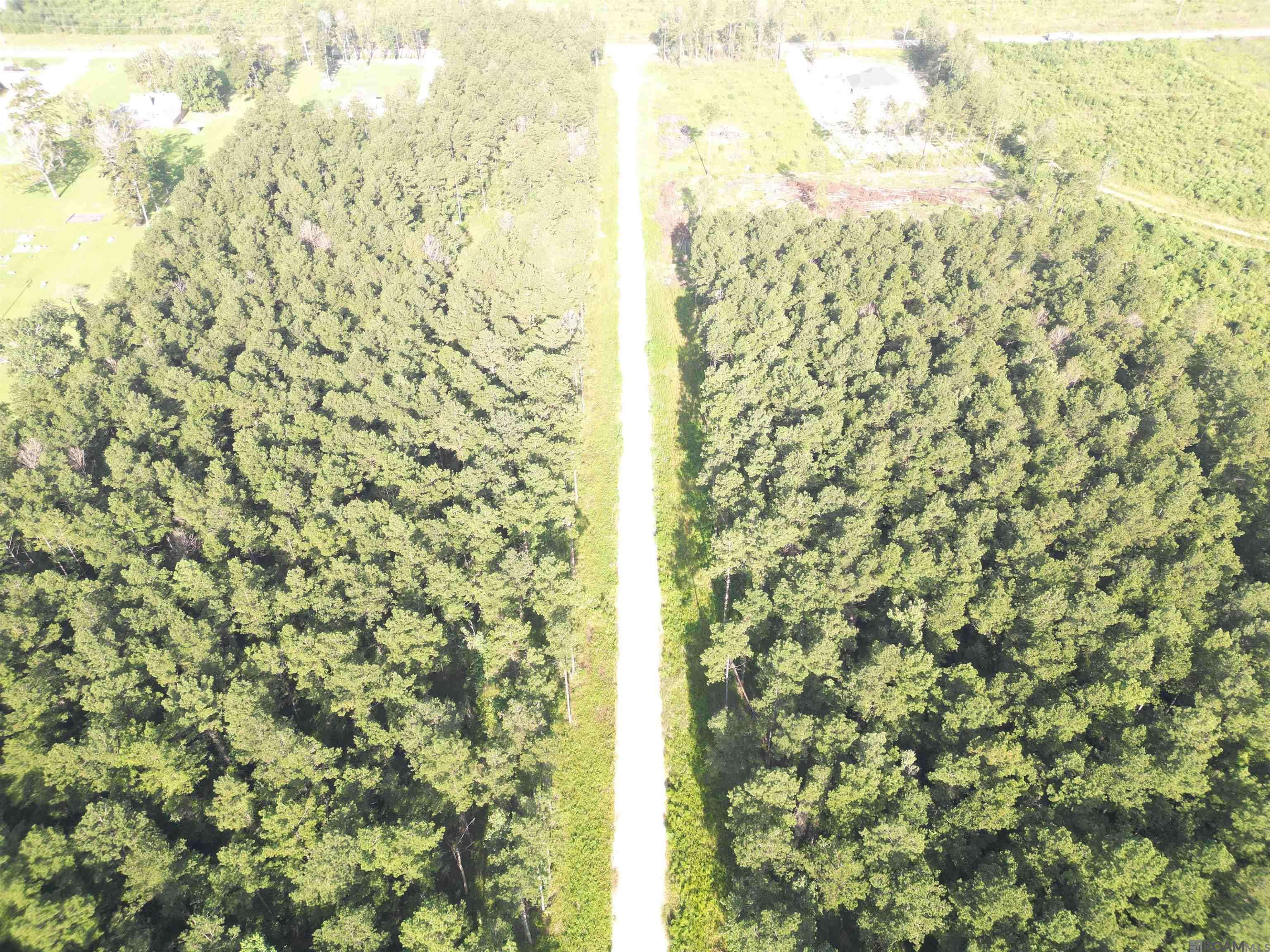 Livingston, LA 70754,LOT 3 Butterbean Ridge