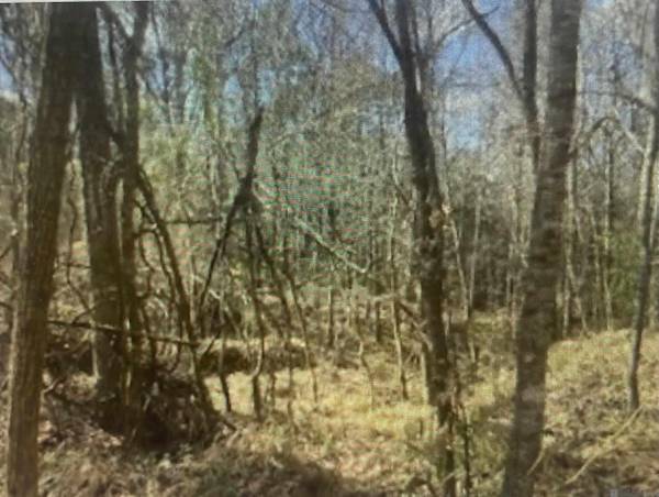 00 Turkey Creek Rd, Natchez, MS 39120