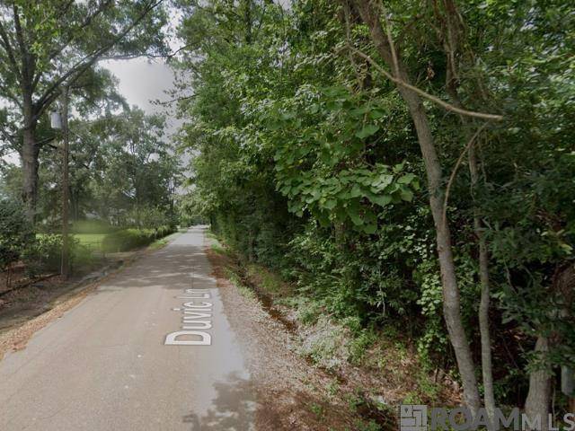 Ponchatoula, LA 70454,Duvic Ln
