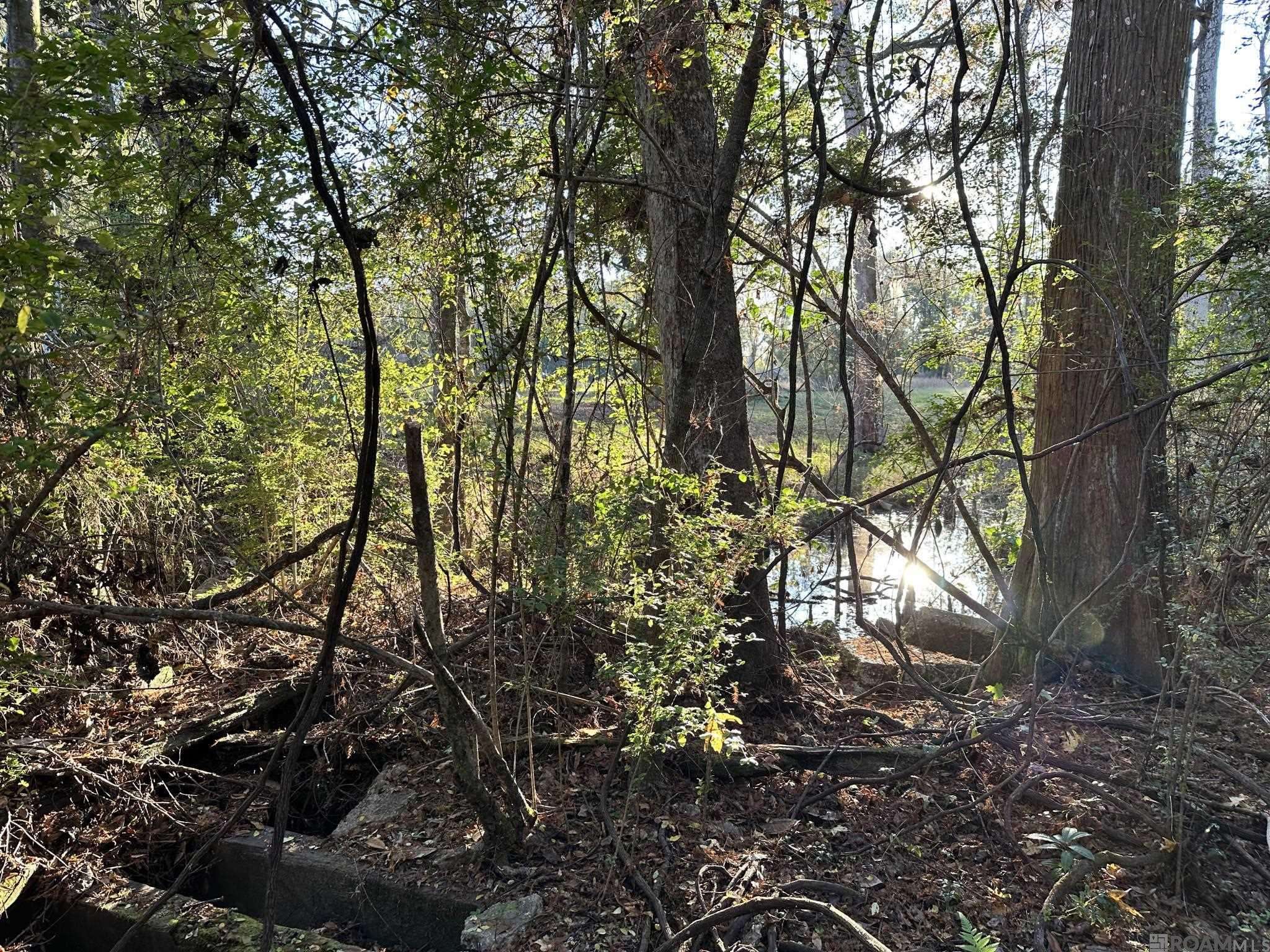 Hammond, LA 70403,0 Simpson Pl