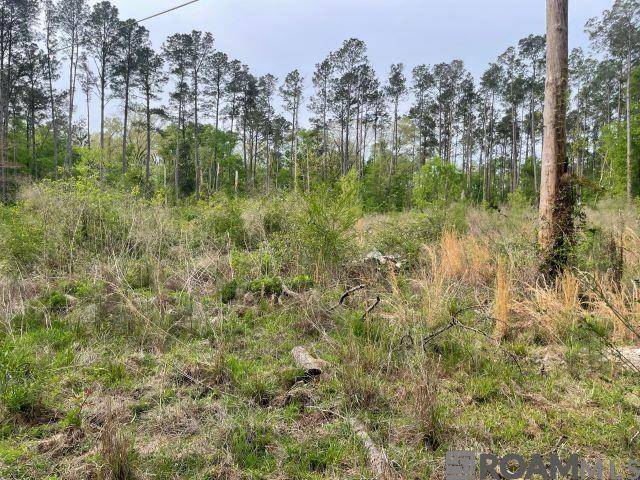 Hammond, LA 70403,Monica Ln