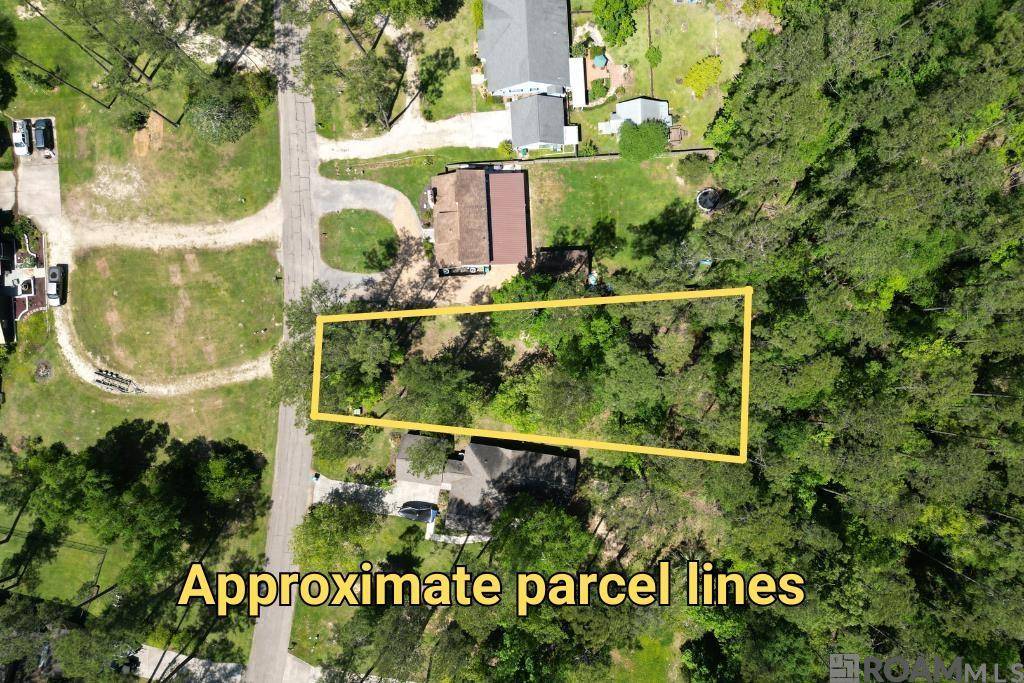 31531 River Pines Dr, Springfield, LA 70462