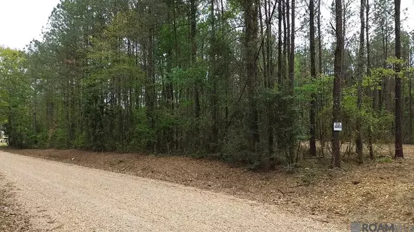 Kentwood, LA 70444,Tract C Harts Lane