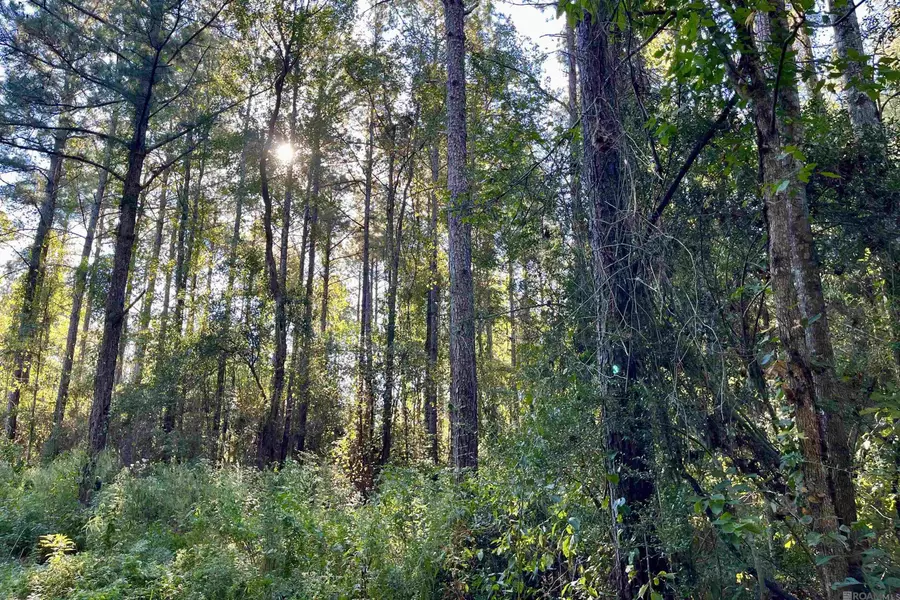 16 Hall And Lindsey Rd, Greensburg, LA 70441