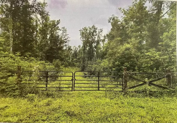 Tract D&E Bourg Larose Highway, Houma, LA 70343