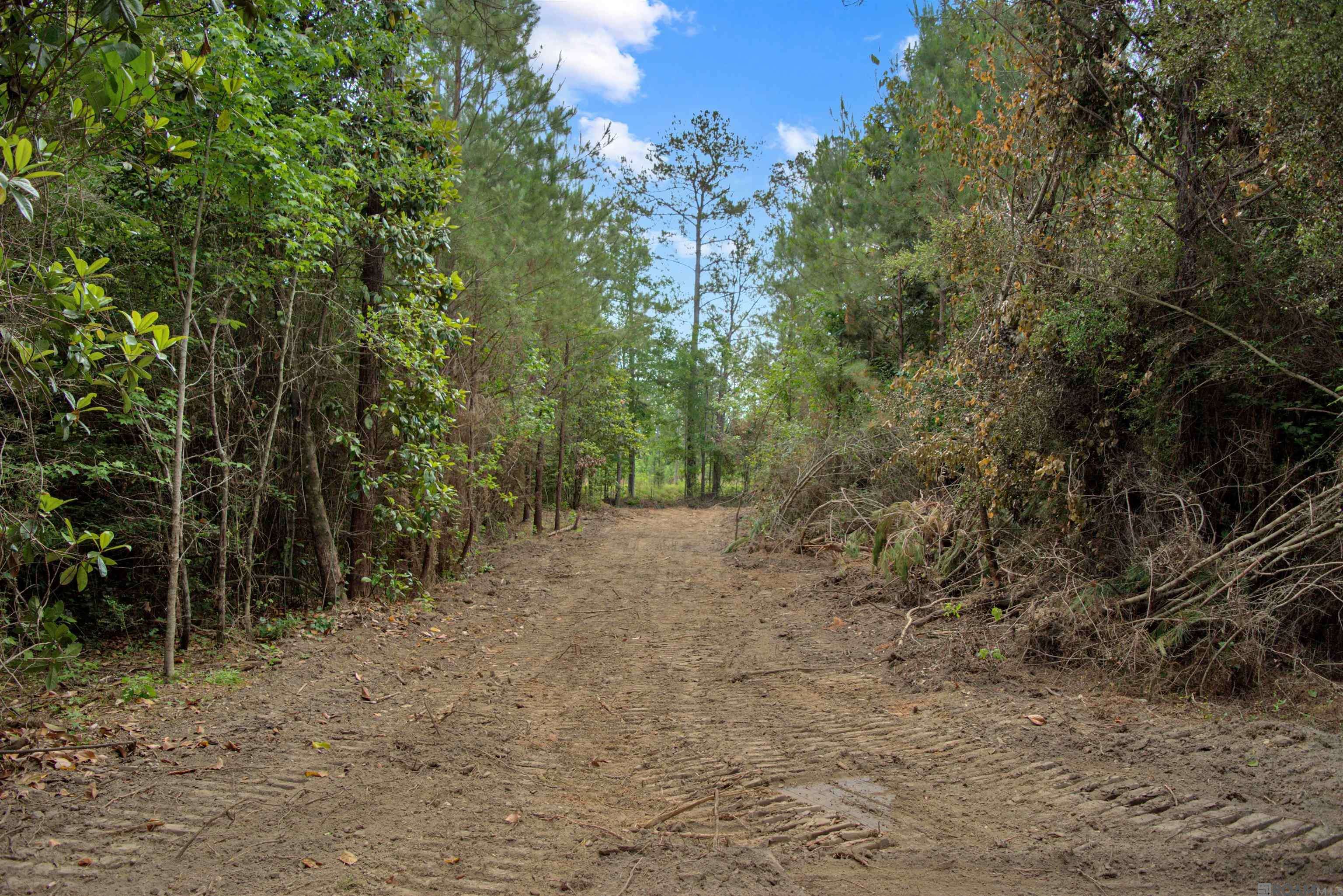 Franklinton, LA 70438,Lot 1 Hwy 62