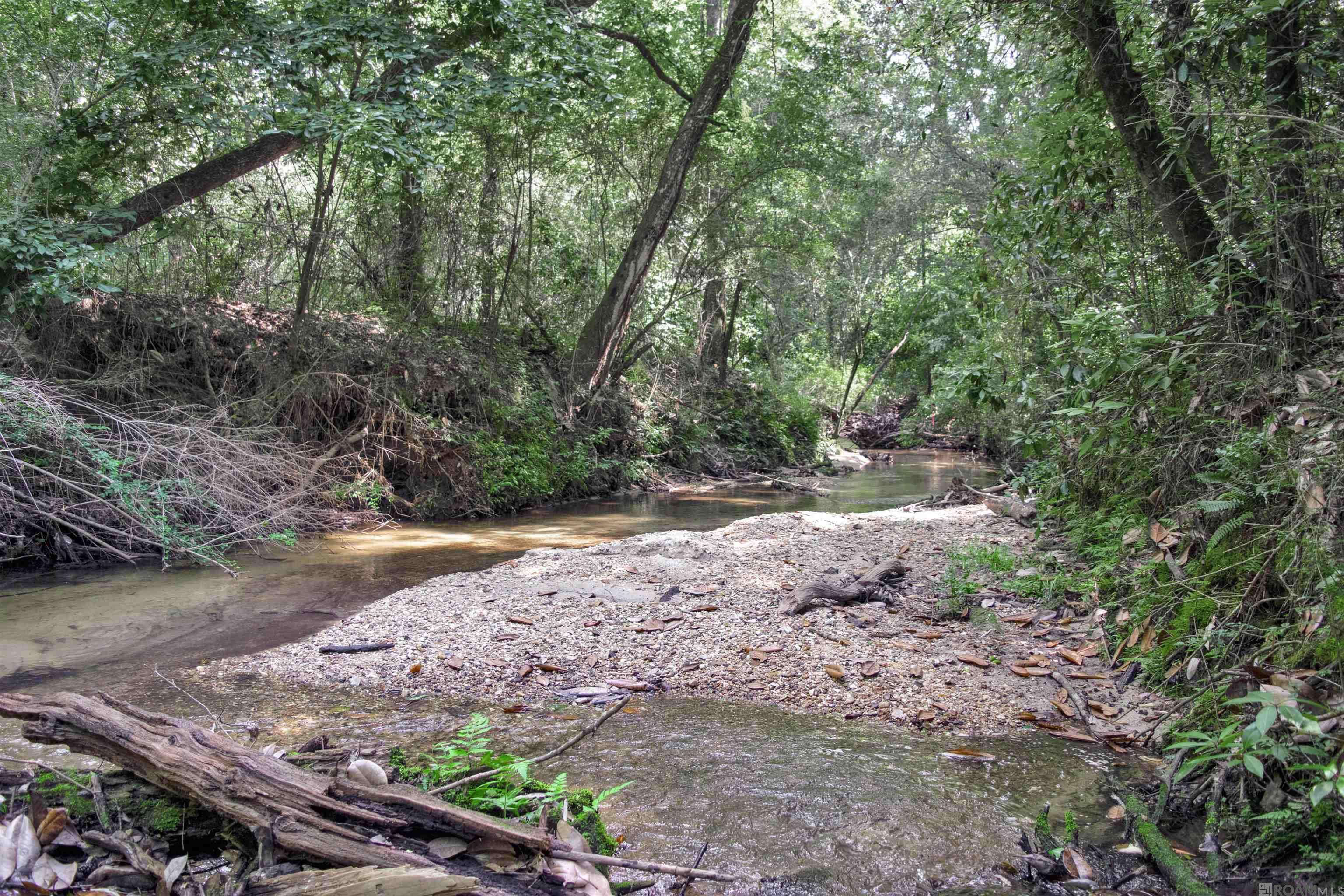 Lot 1 Hwy 62, Franklinton, LA 70438