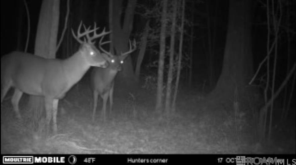 Lot SF-12 La Hwy 16, Denham Springs, LA 70706