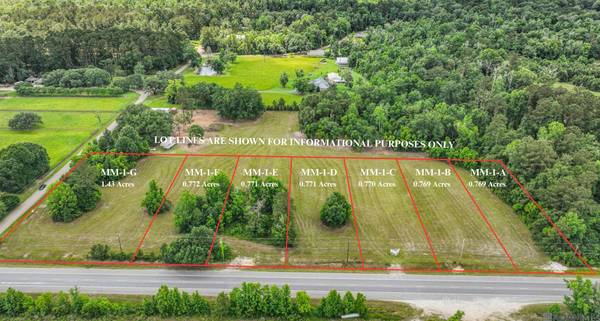 Tract MM-1-E Florida Blvd, Livingston, LA 70754