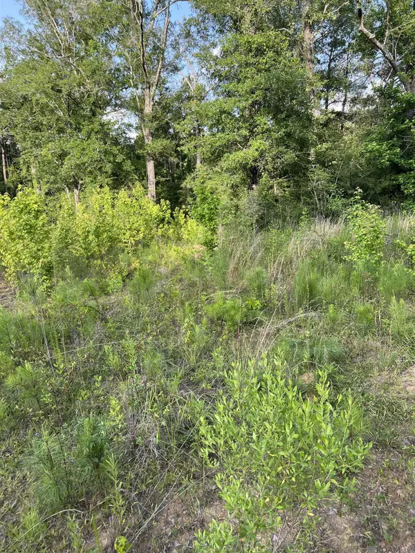 Clinton, LA 70722,TBD La Hwy 67