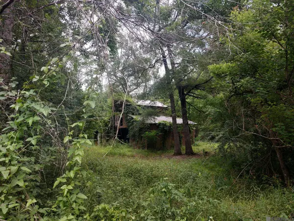 8960 Remington Rd, Denham Springs, LA 70706