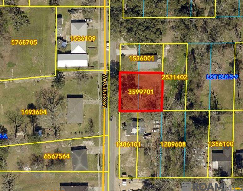 703 Mooney Ave, Hammond, LA 70403