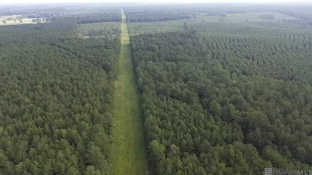 Greensburg, LA 70441,TBD Aunt Margies Road