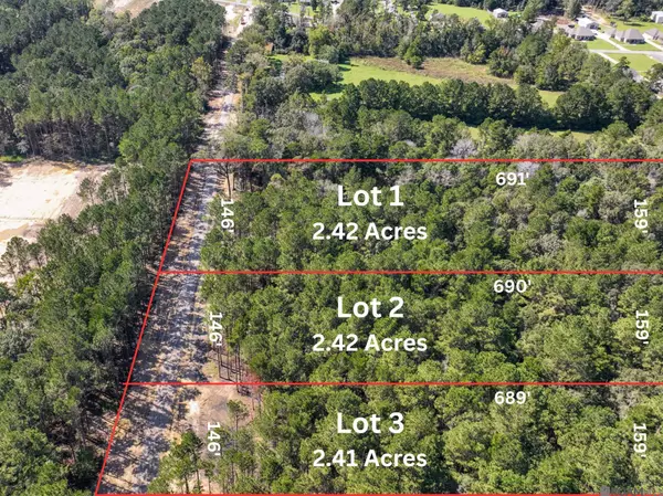 34754 Clinton Allen Rd, Denham Springs, LA 70706