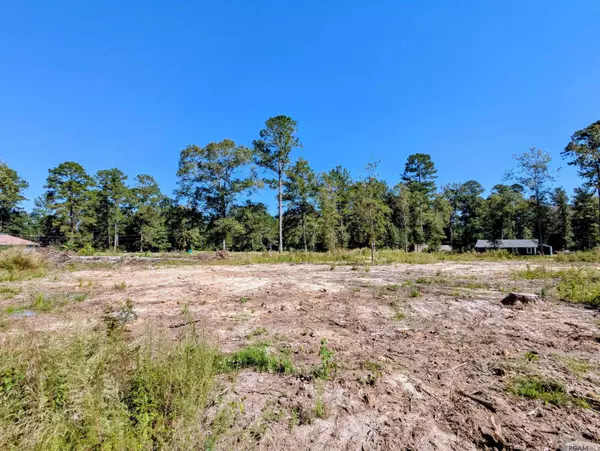 Albany, LA 70711,30625 Tamjulon Rd