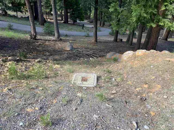 Lake Almanor West, CA 96020,203 Top of the West Drive